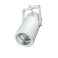 Lungo